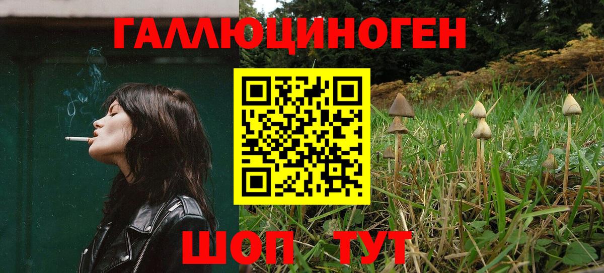 закладка  Галлюциногенные грибы Psilocybine cubensis  Вход с VPN  Калач-на-Дону  Галлюциногенные грибы мухоморы 
