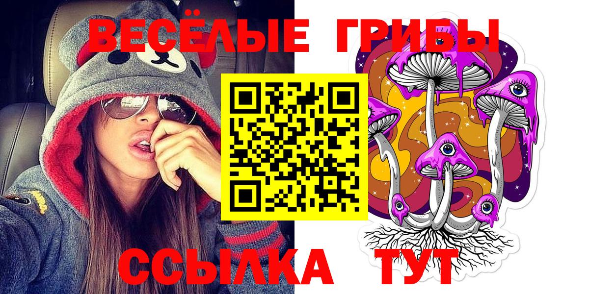 Псилоцибиновые грибы прущие грибы Калач-на-Дону